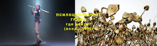 трава Волоколамск